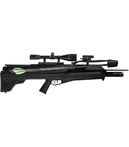 AIRBOW STAND11-S（ペア） Amazon.com : Benjamin AB6PKA Pioneer Airbow Arrow Pack : Sports